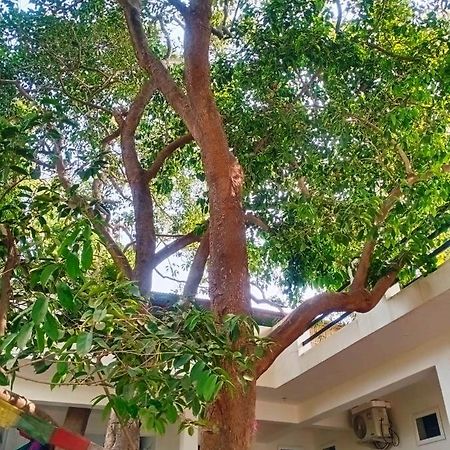 Green Hub Pushkar Villa Bagian luar foto